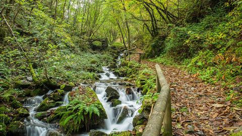 Bosques de Taramundi