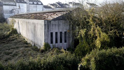 En las traseras de la Muralla hay zonas con la vegetaci�n descontrolada