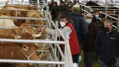 La feria, en O Valadouro, congreg� a muchos asistentes