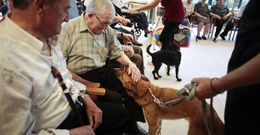 Los mayores de Lal�n interactuaron con perros, en el primer d�a de celebraci�n de los 7 a�os de Geriatros.