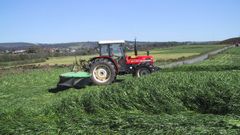 Imagen de archivo de un tractor cortando la hierba