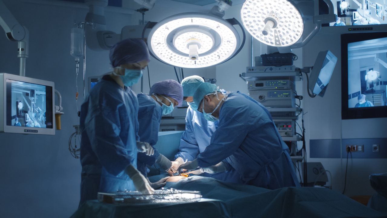 Primer trasplante de pulmón de cerdo a humano: «En el futuro podría convertirse en una opción real para salvar vidas»