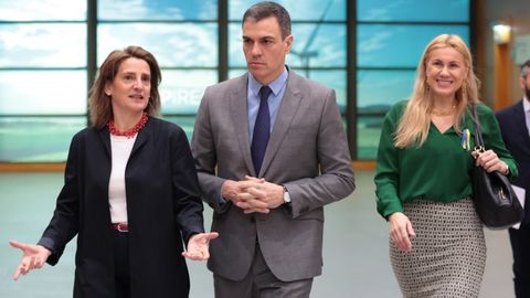 S�nchez anuncia la creaci�n de 20.000 plazas de formaci�n vinculadas a las renovables
