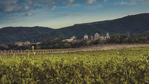 Finca Grans Muralles, de donde proviene el ic�nico tinto de la DO Conca de Barber�