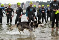 Los 360 deportistas estaban ya en el agua cuando la federaci�n tuvo que cancelar la prueba. 