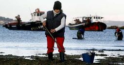 La pesca costera artesanal y el marisqueo, as� como la acuicultura, ser�n los principales destinatarios de los fondos.