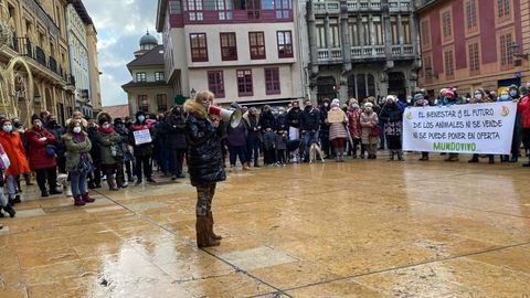 Manifestacin a favor del derecho de los animales