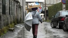 Una mujer transporta bolsas en una caja sobre su cabeza.