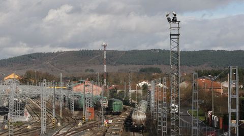 Las cig�e�as ya est�n de vuelta en la estaci�n de tren de Monforte a pesar del derribo de todos sus nidos a principios de este invierno