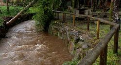 La madera est� deteriorada o podrida y va a ser repuesta.