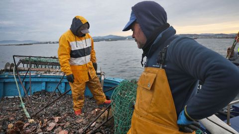 Apertura da campa�a da vieira na r�a de Arousa
