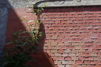 Los cascotes, correspondientes a una pared medianera de un edificio, ocuparon buena parte de la finca en la que la anciana tiene la huerta.