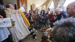 Bendici�n de mascotas en la iglesia de Campolongo