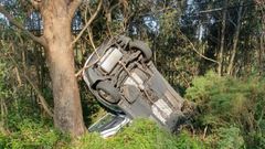 Los �rboles y la maleza frenaron el avance del veh�culo, semivolcado