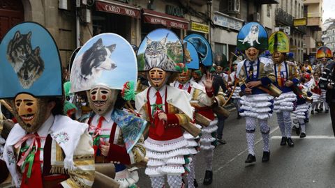 Desfile polo centro de Ver�n