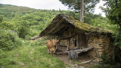 Una construcci�n tradicional en O Vogo