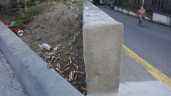 Decenas de colillas, en un pequeo jardn en el exterior del servicio de urgencias del hospital Montecelo, en Pontevedra