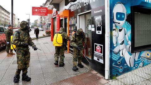 El Ej�rcito de Tierra realiza labores de desinfecci�n en Lugones