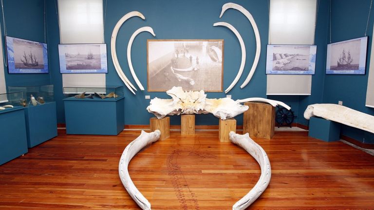 Foto de archivo de una de las salas�del Museo Provincial do Mar