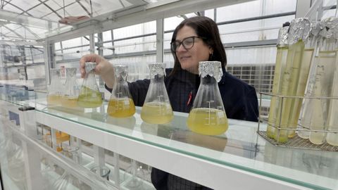 El renacer del criadero de bivalbos de�O�Vicedo