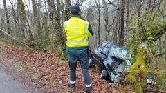 El coche en el que viajaba la accidentada choc� contra un �rbol despu�s de salirse de la carretera