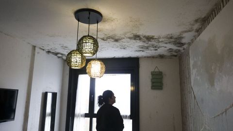 Moho en una de las viviendas de este edificio creado por el IGVS en Nar�n. 