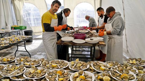 Festa da Ostra de Arcade.