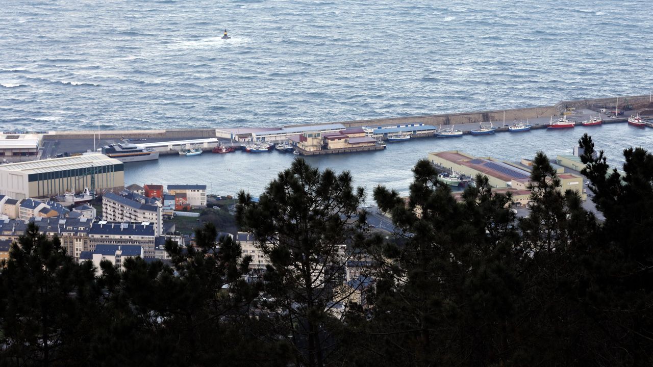 Sancionan a una pesquera por el accidente de un trabajador que se cayó al salir al muelle