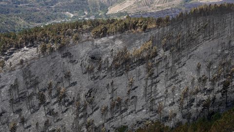 El paso del fuego es palpable en toda la comarca