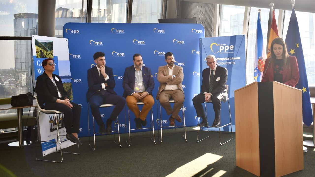 El sector vitícola gallego reclama en Bruselas ayuda para afrontar los aranceles, el despoblamiento y la caída del consumo