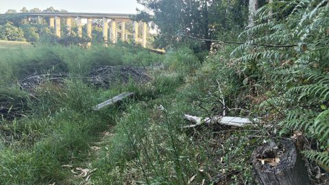 Estado de la senda das Marismas do Baxoi