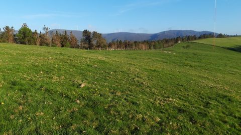Parte de la finca de Manolo Garc�a donde las empresas de renovables quieren instalar una subestaci�n y una antena meteorol�gica permanente