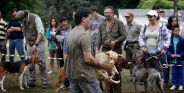 El concurso de perros de caza ser� una de las actividades centrales durante la ma�ana. 