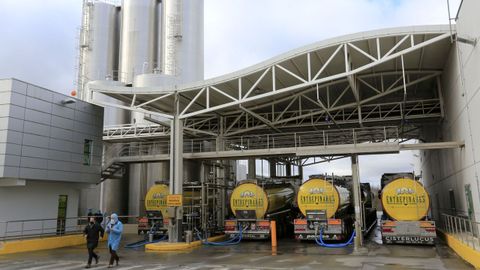 Zona de recepci�n de leche en la f�brica de Entrepinares en Vilalba.