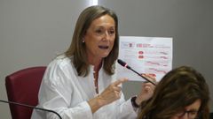 La presidenta del PP de Vigo, Luisa S�nchez.