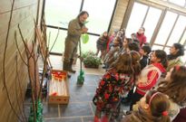 Imagen de archivo de una plantaci�n de �rboles con alumnos del colegio de Pi�eiros. 