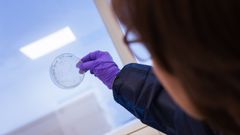 El desarrollo de bacterias resistentes a m�s de un antibi�tico, por un uso inadecuado, causa 35.000 muertes al a�o en Europa