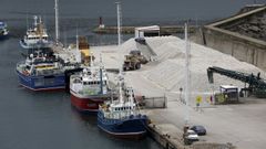 Pesqueros en el puerto de Celeiro