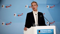 La col�der de Alternativa por Alemania (AfD por sus siglas en alem�n), Alice Weidel.