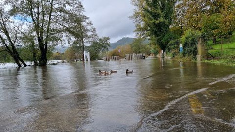 El Miño, desbordado a su paso por Ourense. O Tinteiro