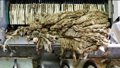 Toallitas, preservativos o incluso mascarillas llegan a trav�s de las aguas residuales. Se retiran en la fase de pretratamiento