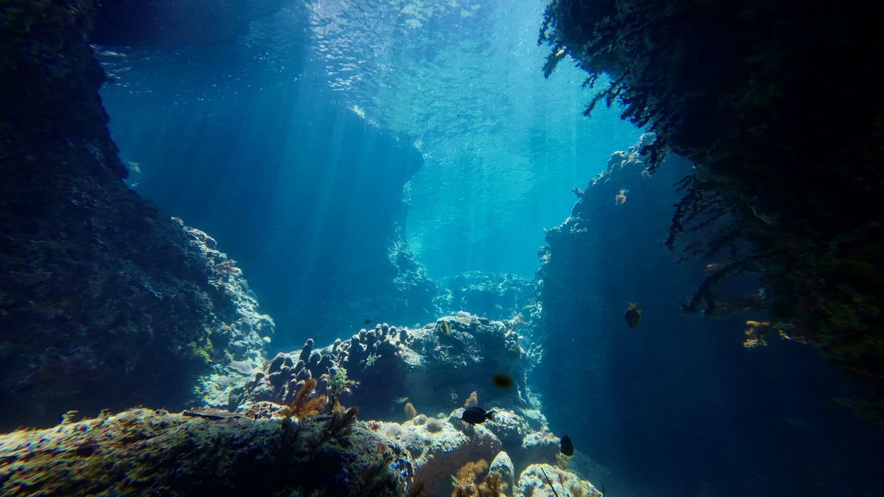 El Mediterráneo occidental registró el verano más cálido desde 1982