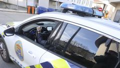 Los propietarios del coche trasladaron los hechos a la polica.