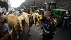 Imagen de la tractorada celebrada en Lugo este jueves para protestar por el aumento de costes que ahoga a los ganaderos l�cteos