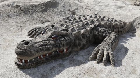 Un enorme cocodrilo sorprende a los ba�istas en Riazor