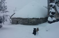 El conjunto etnogr�fico de Piornedo lleva varias semanas cubierto por la nieve. 