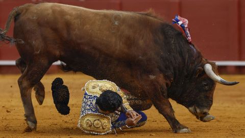 Morante de la Puebla sufri� una grave cogida en la plaza de la Maestranza en Sevilla