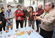 <span lang= es-es >Carballo</span>. La asociaci�n Lumieira despidi� el s�bado sus octavas Xornadas Micol�xicas con una nueva salida y una sesi�n de catalogaci�n y valoraci�n. 