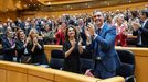 El Grupo Parlamentario Socialista aplaude en el pleno del Congreso el pasado da 10