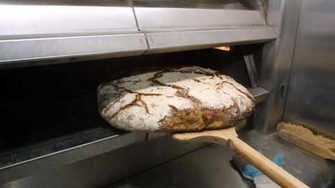 Horneando el pan de brona en una panadera de Carral